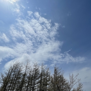 2022fujisubarulineshiso022