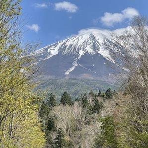 2022fujisubarulineshiso014