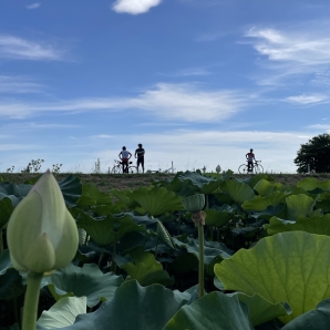 2022kasumigauracr016