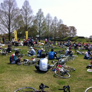 渡良瀬遊水地は広大な公園