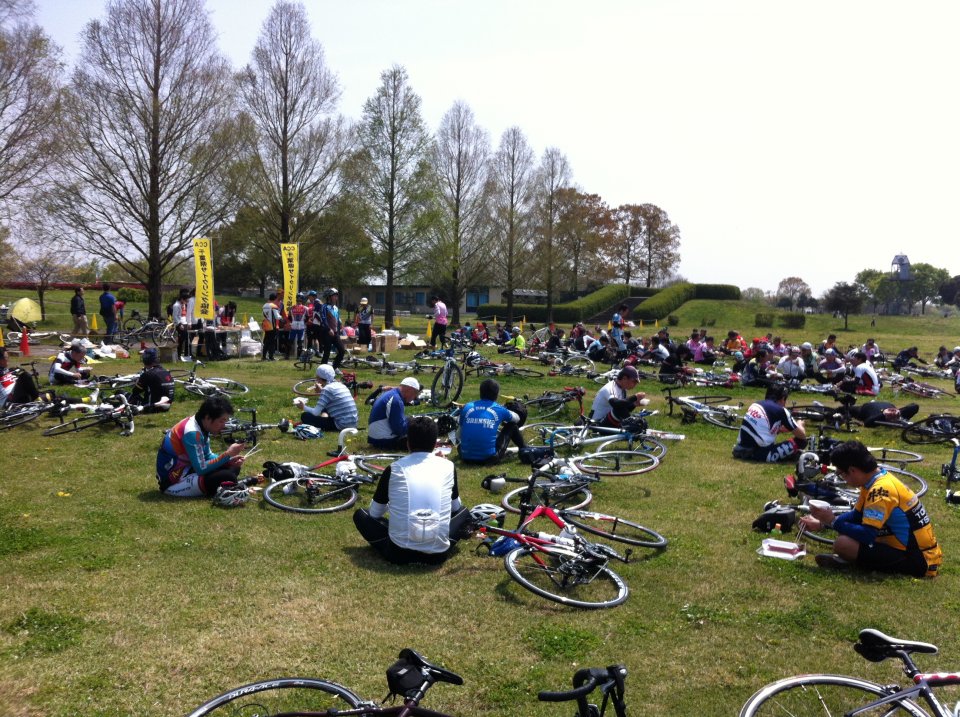 渡良瀬遊水地は広大な公園
