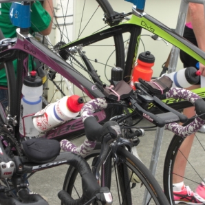 オルベアディーバが多い