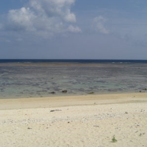 カラフルな魚と珊瑚礁の海