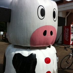 いたる所にこの牛