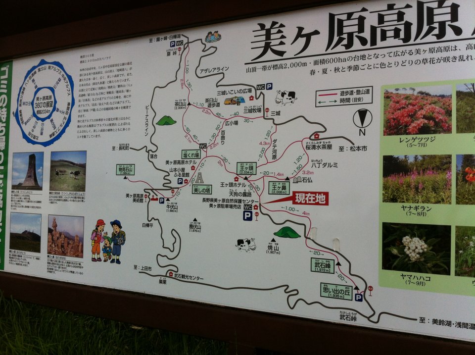 走るところたくさんありそう