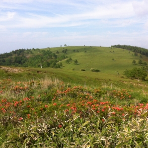 高原の風景