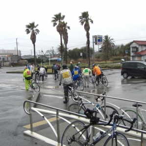 2010南房総菜の花サイクリング