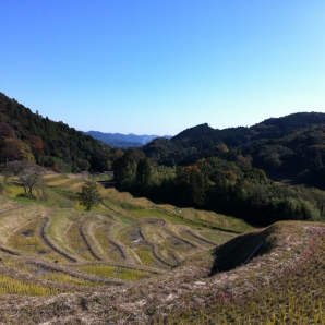 夜にはライトアップ