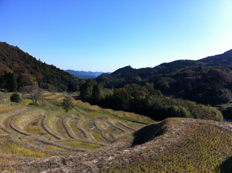 夜にはライトアップ