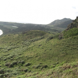 インファント島？ゴジラいそう