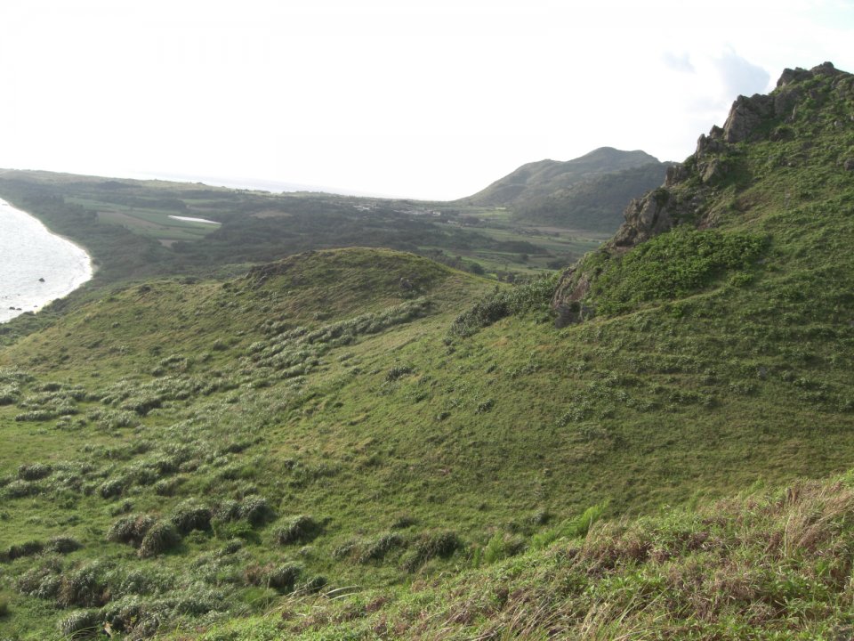 インファント島？ゴジラいそう