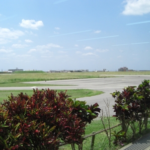 名残惜しいけ千葉に帰ります