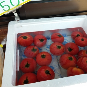 道の駅の冷やしトマト