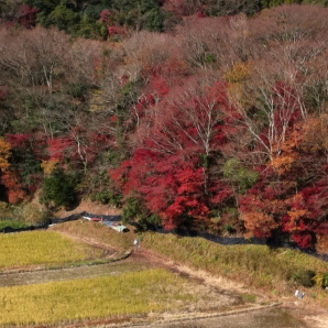 志駒紅葉サイクリング
