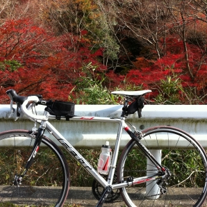 バイクと志駒紅葉