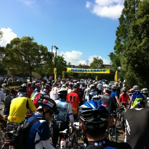 いよいよスタート