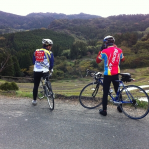鴨川大山千枚田