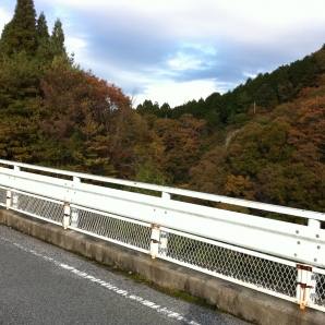 もう少しで見頃