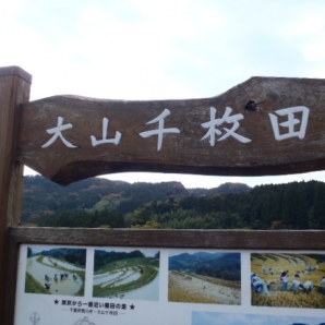 大山千枚田