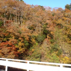 清和の森サイクリング2010