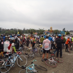 速度15/20/25km別スタート