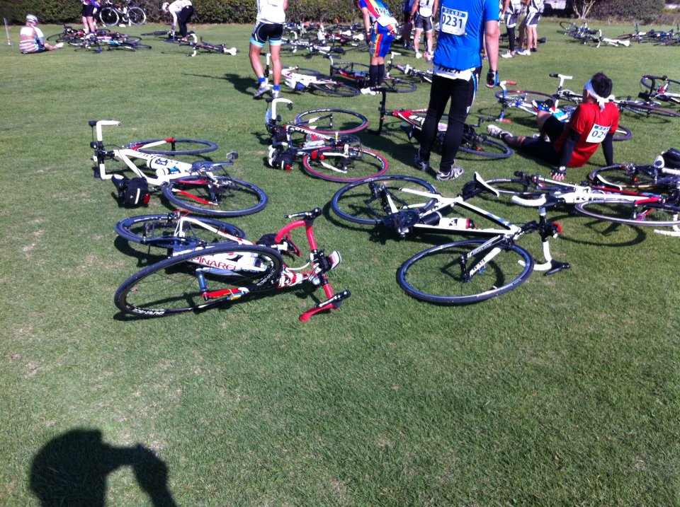 今日は芝生が気持ちいいです